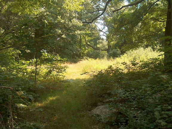 Possibilities abound.