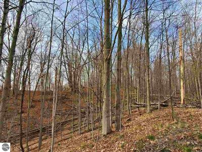 0 Traverse Ave, Benzonia, MI, 49616