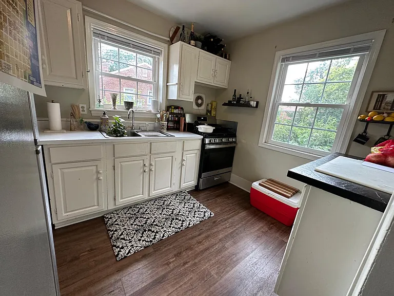 49 E Rosemont Ave — Photo 17