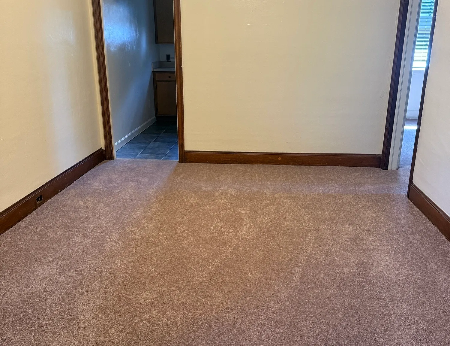 2 bed, 800 sqft, $950 — Photo 3