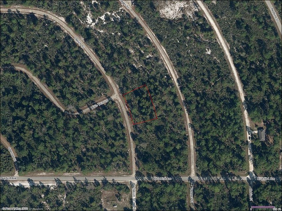 2nd image of 1107 Ostrich St