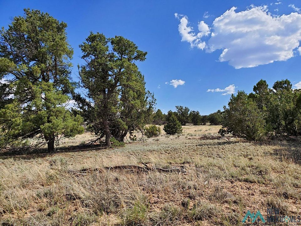 Pinon Trails Loop, Pie Town, NM 87827 | Zillow