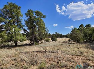 Pinon Trails Loop, Pie Town, NM 87827