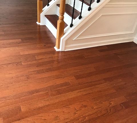 5th image of 1145 Olivine Dr