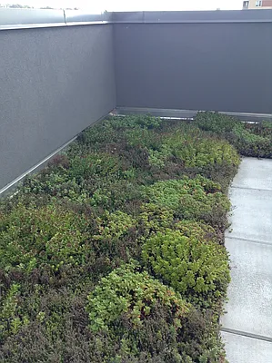 Rented by Compass | media 27