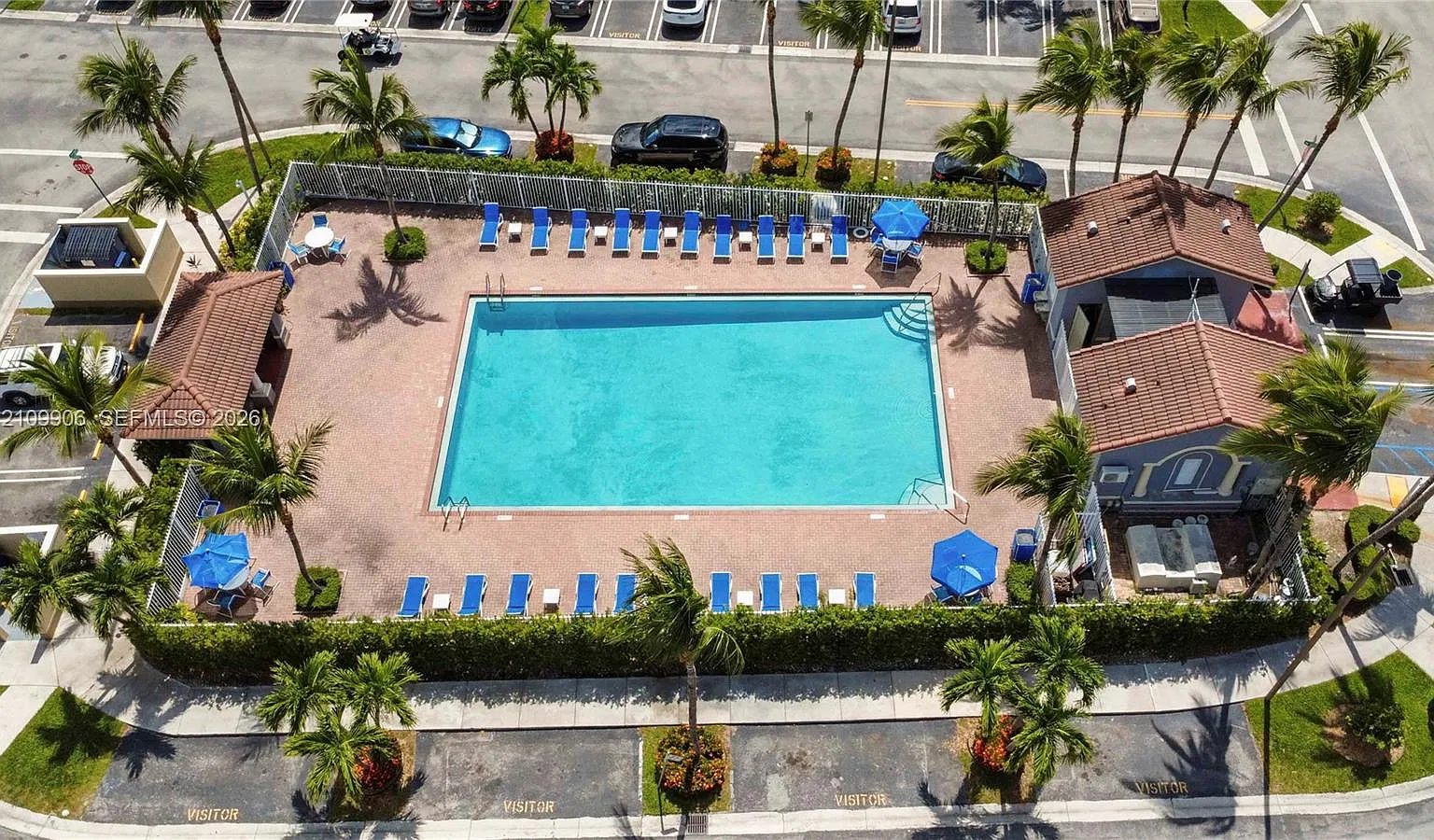 Leeward At Islands At Dor — Photo 4