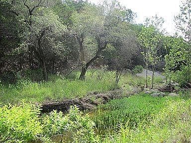 2nd image of 350 Bluff Rd