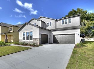 11344 American Holly Dr, Riverview, FL 33578