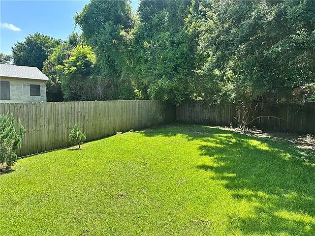 1009 Belleville St — Photo 19