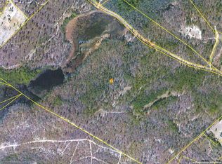 70 Acres Webbs Pond, Windsor, SC 29851