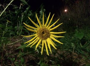 4754 Snyder Ln, Santa Rosa, CA 95404