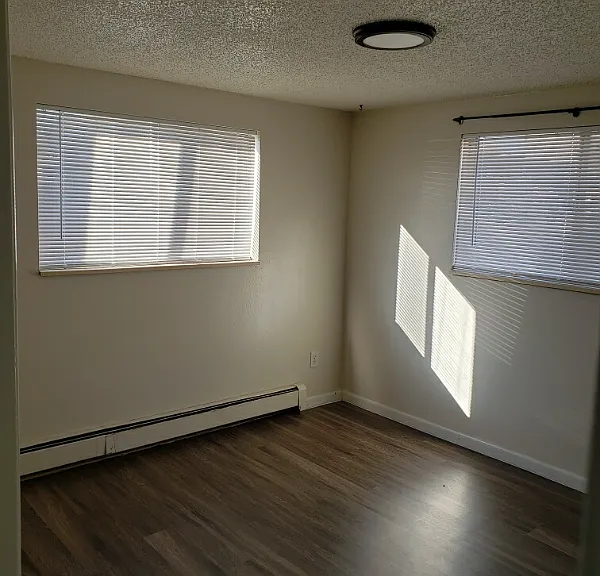 2 Ash Ct — Photo 6