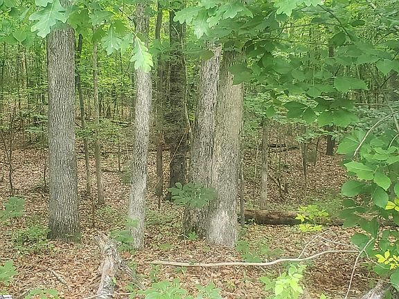 2nd image of 96 Oak Terrace Dr Lot 14