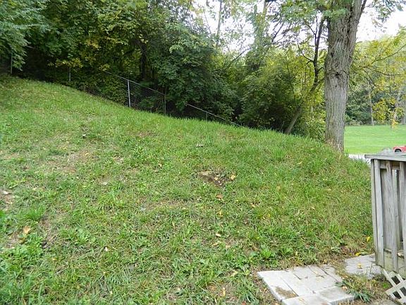 Rear Yard 1
