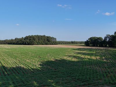 Russell Rd, Bridgeville, DE, 19933