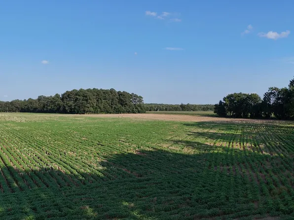 Russell Rd, Bridgeville, DE 19933