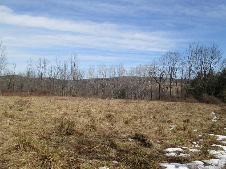 2nd image of 49 Burns Rd