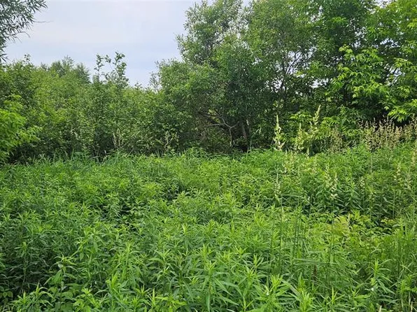 Lot C Windrose Lane, Hayward, WI 54843