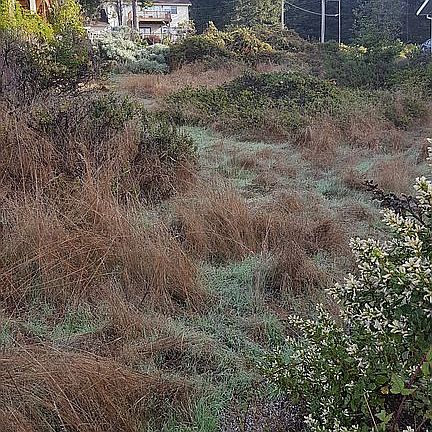 4th image of 26 Du Luard Rd