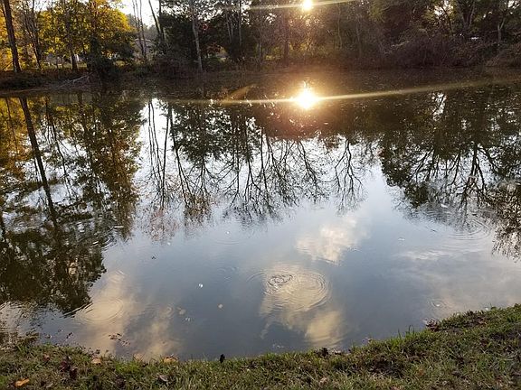 4th image of 8436 Greenville Hwy