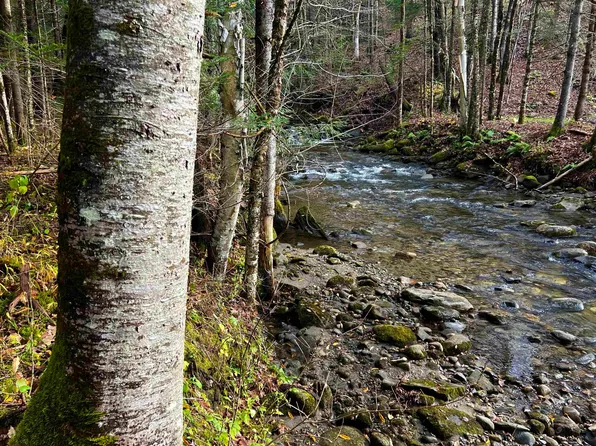 LOT B1 Mountain Road, Burke, VT 05871