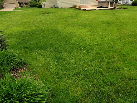 2nd image of 427 Sandburr Dr