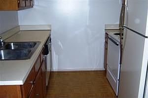 2nd image of 500 Collinwood Pl APT I