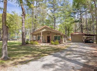 18073 Merigale Dr, Troup, TX 75789