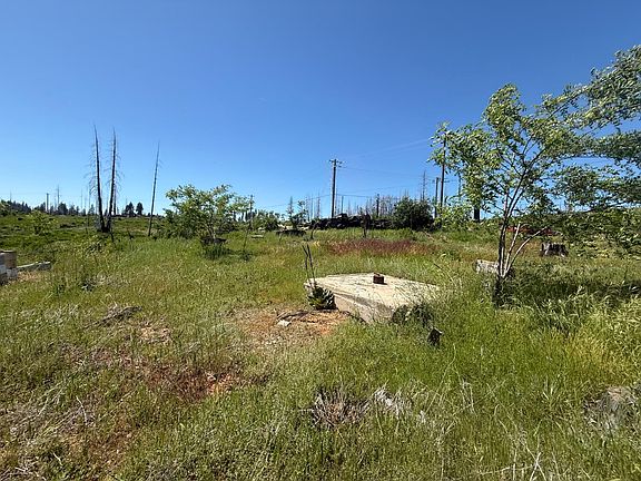 4th image of 10340 Grizzly Flat Rd