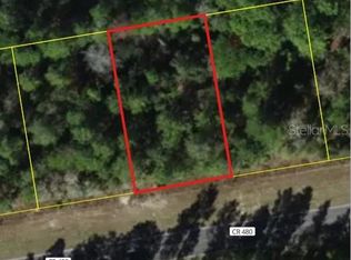 6407 W OAK PARK BOULEVARD LOT 23, HOMOSASSA, FL 34446