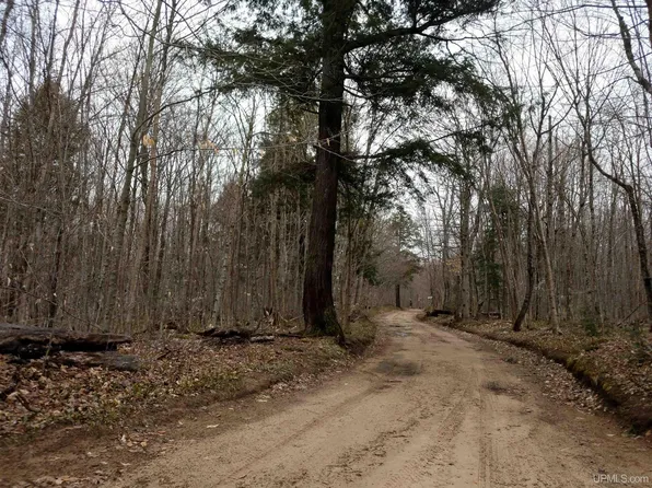 Maplewood Rd, Newberry, MI 49868
