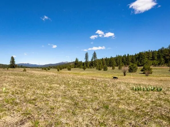 26 To Be Determined, McCall, ID 83638