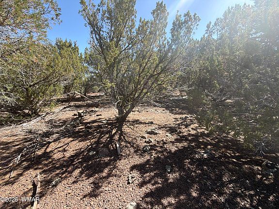 5th image of LOT County Road 3189