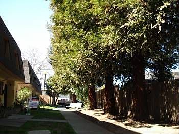 2nd image of 199 Harris Rd