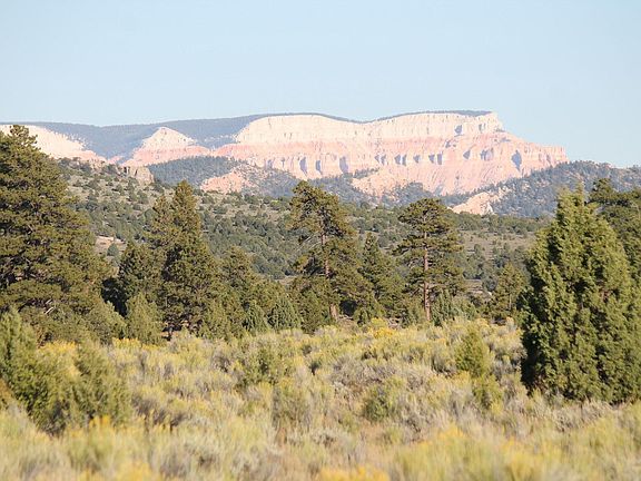 5th image of 159 Acres Tom Best Springs Rd