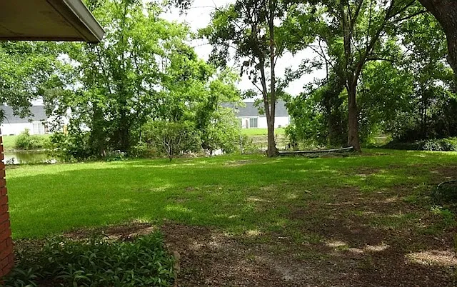 31 Magnolia Dr — Photo 3