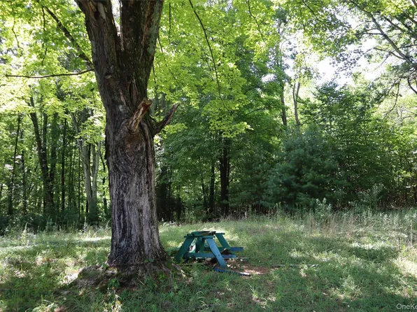 Peeble Lane, Wurtsboro, NY 12790