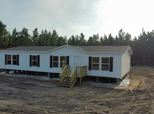 4700 Godwin Rd, Blackshear, GA 31516