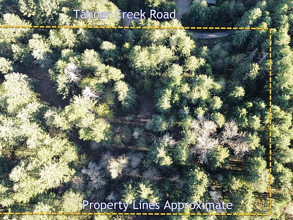 5th image of SW Tanner Creek Rd