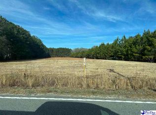 McAllister Mill Rd, Lake City, SC 29560