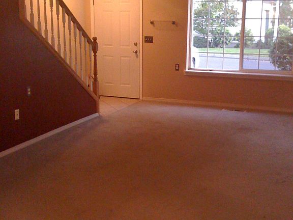 Living Room (Carpet is now replaced with wood)