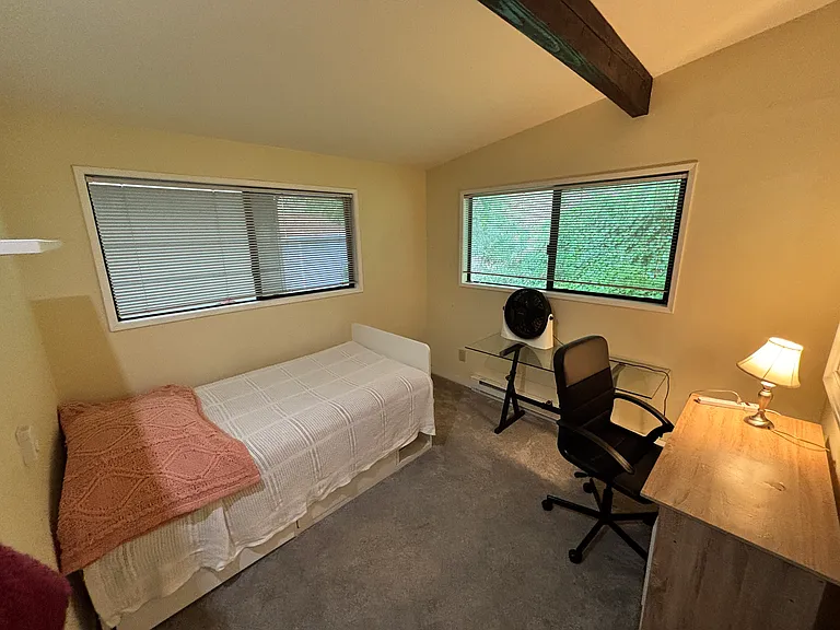 bedroom with twin bed and desk, closet out of view.