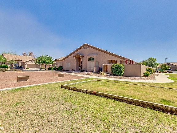 04-Desert Willow