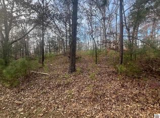 00-0 Steamboat Rd LOT 9, Gilbertsville, KY 42044