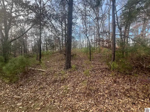 0 Steamboat Rd Lot 8, Gilbertsville, KY 42044