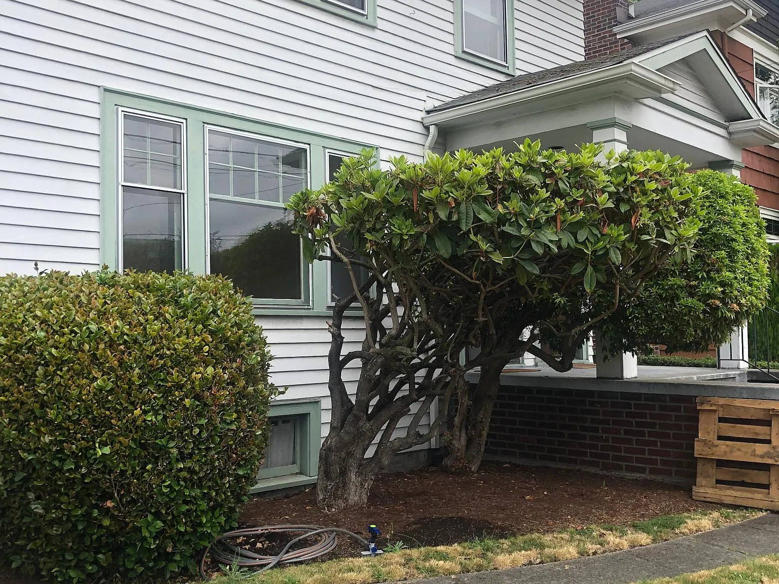 3913 Wallingford Ave N — Photo 1