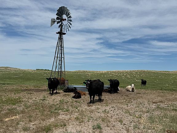 2nd image of 187.62 / Acres