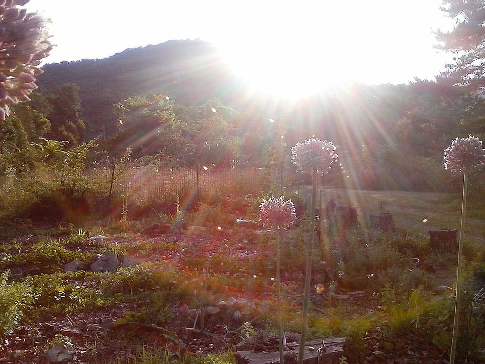 One of the gardens