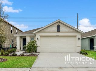 12177 Downy Birch Dr, Riverview, FL 33569