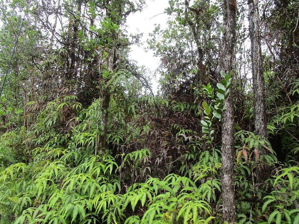 2nd image of Ao Road Rd #2-lot 2956